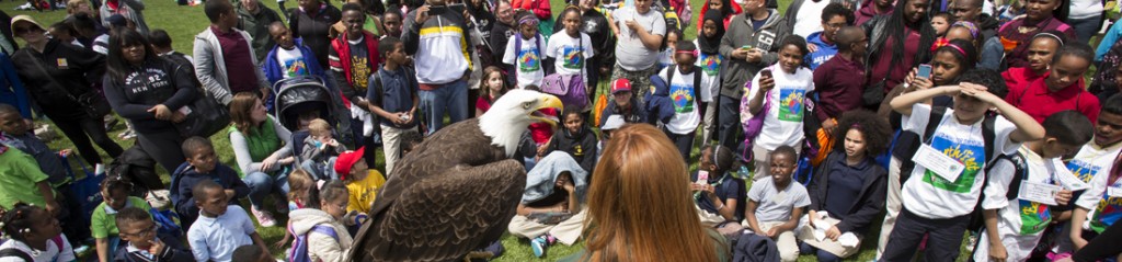 The Elmwood Park Zoo shows off their bald eagle at Temple University Ambler EarthFest.