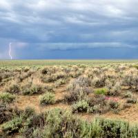 Photo of expansive sagebrush landscape