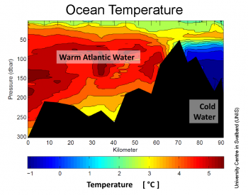 temperature plot