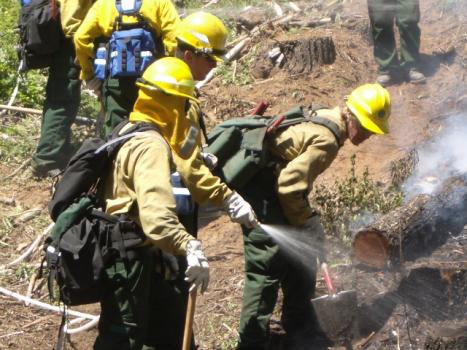 Firefighters mop up a wildland fire