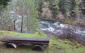 Campground Opportunities: Scenic North Umpqua River