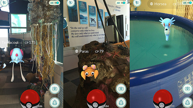 some of the water-type pokemon found at the olympic coast discovery center