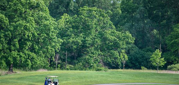 Play 9 or 18 holes at Leslie Park Golf Course.