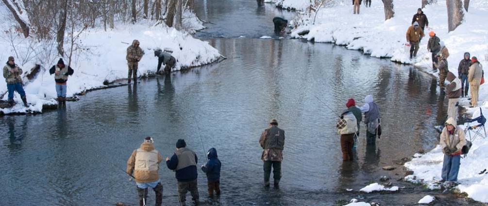 Winter trout fishing