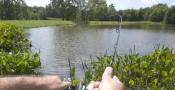 pond fishing