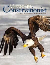 Missouri Conservationist Cover 12-2016