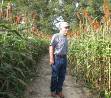 arkansas corn maze field with man in it