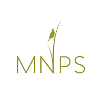 MNPS