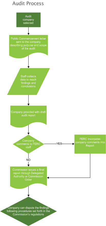 Audit Process flow chart