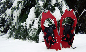 Walking in Winter Wonderland Tile (Snowshoes)