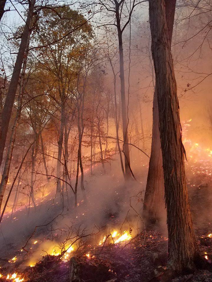 Fighting Kentucky’s wildfires: A great coordinated effort