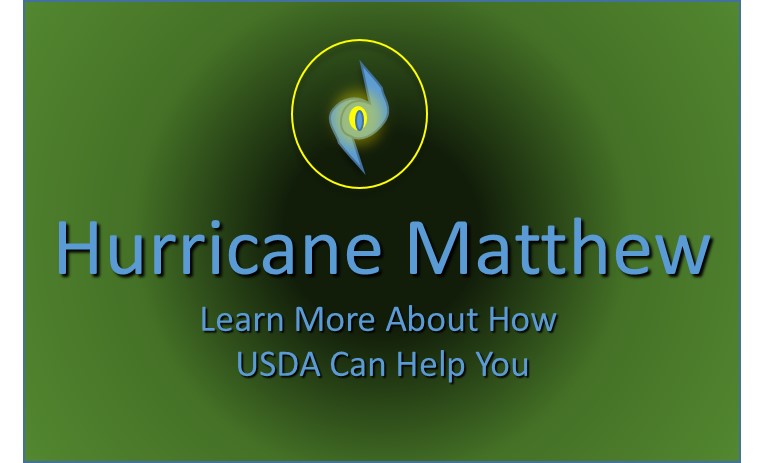 Hurricane Matthew Logo