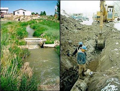 A similar overbank tailings deposition
area 5 years after removal of the
contaminated material.
USFWS Photo by bill Olsen.