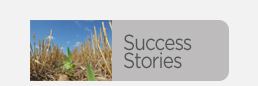 CSP Success Stories