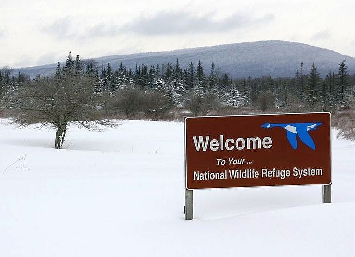    Canaan Valley Refuge sign in snow