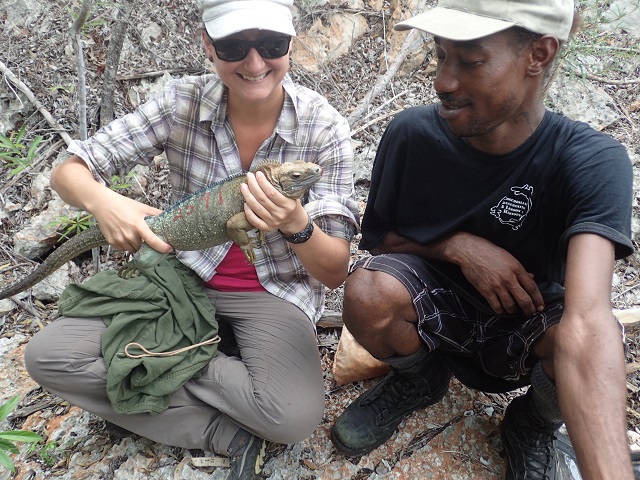    Dr. Pasachnik and ranger Kenroy Williams release a Jamaican rock iguana 