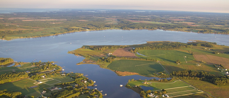 Choptank Ecological Assessment: Digital Atlas Now Available