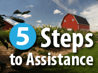 5 steps to assistance web ad