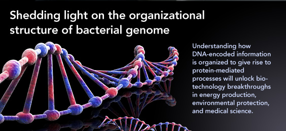 bacterial genome highlight