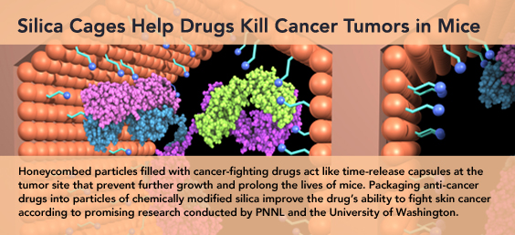 Silica Cages Help Drugs Kill Cancer Tumors in Mice