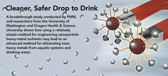 An advanced method for eliminating toxic heavy metals from aquatic systems and drinking water