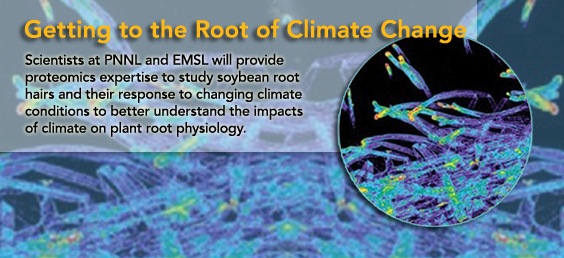 Soybean root hairs and their response to changing climate conditions