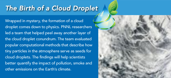 The Birth of a Cloud Droplet