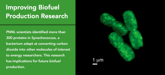 Improving biofuel production research