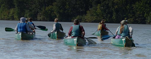 Image for lesson Salinity and Tides in York River