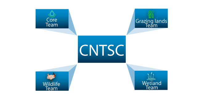 CNTSC Directory