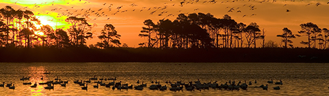 Sunset at Chincoteague National Wildlife Refuge in Virginia credit Steve Hillebrand/USFWS