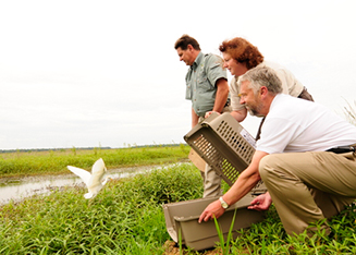 Group of FWS Staff and Partners Releases a Rehabilitated Egret. Credit USFWS