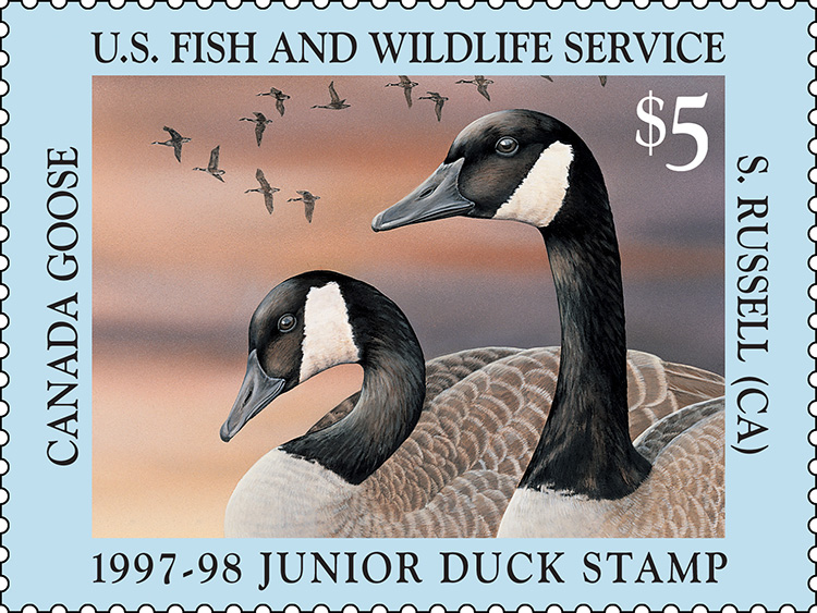 Junior Duck Stamp