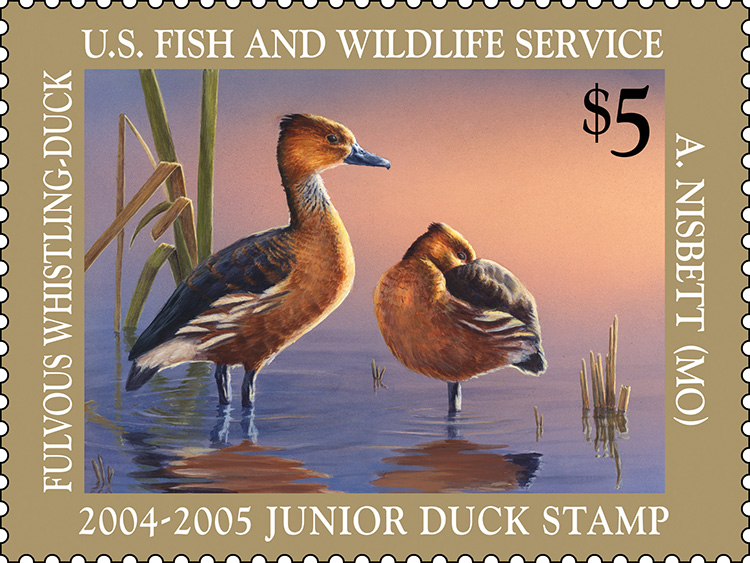 2004-2005 Junior Duck Stamp by Adam Nesbitt