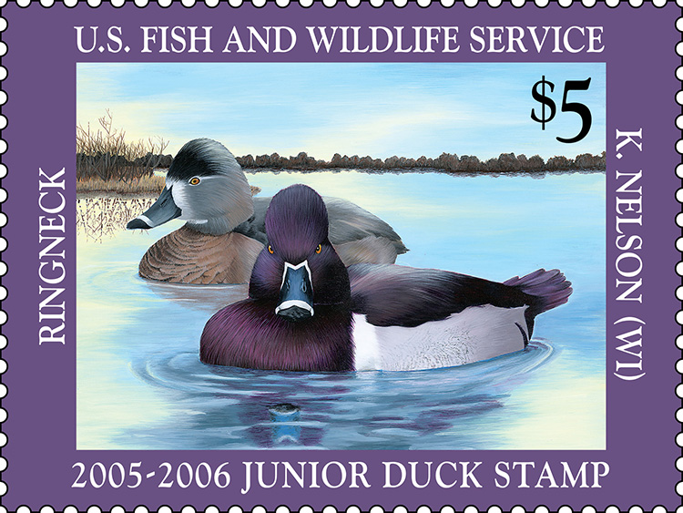 2006-2005 Junior Duck Stamp by Kerissa Nelson