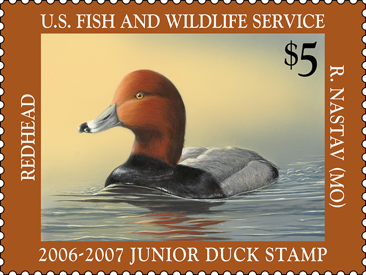2006 -2007 Junior Duck Stamp by Rebekah Nastav