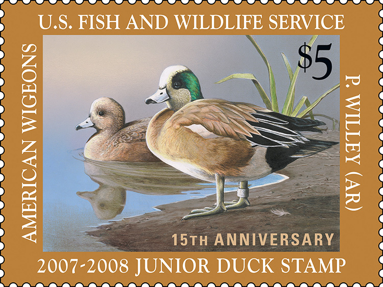 2007-2008 Junior Duck Stamp by Paul Willey