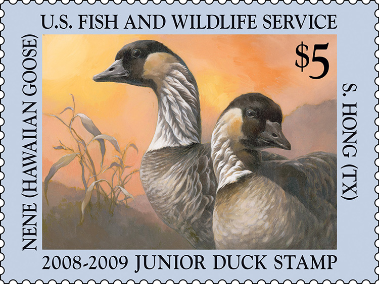 2008-2009 Junior Duck Stamp by See Hong