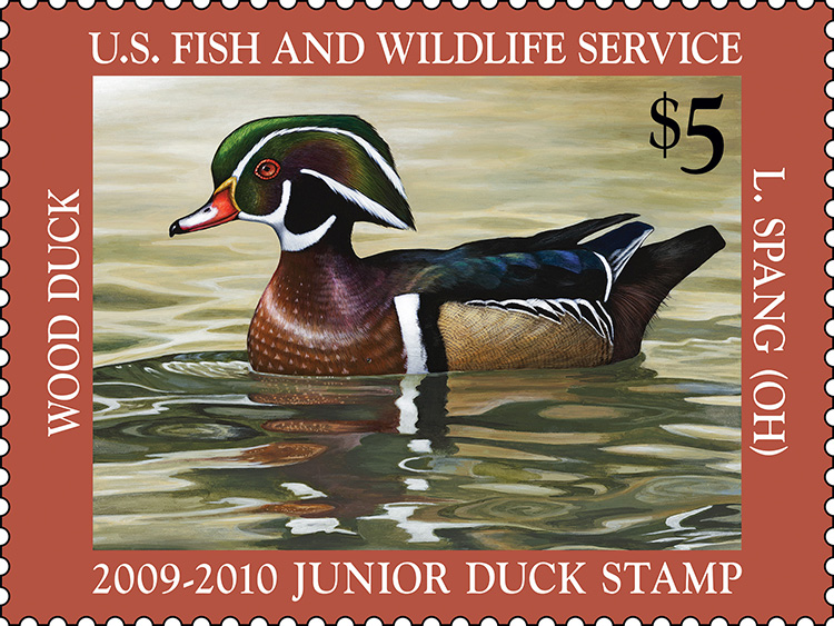 2009-2010 Junior Duck Stamp by Lily Spang