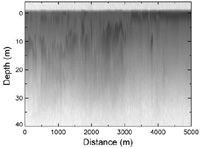 The image shows a complex pattern of darker grey against a light grey background.  The depth range is from above the surface to a depth of 30 m,  and the distance range is from 0 to 5000 m.