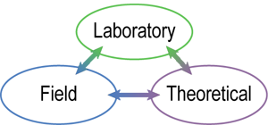 laboratory, field, and theoretical components are interactive