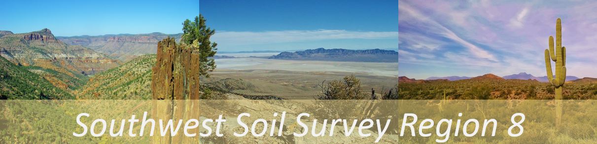 Southwest Soil Survey Region 8