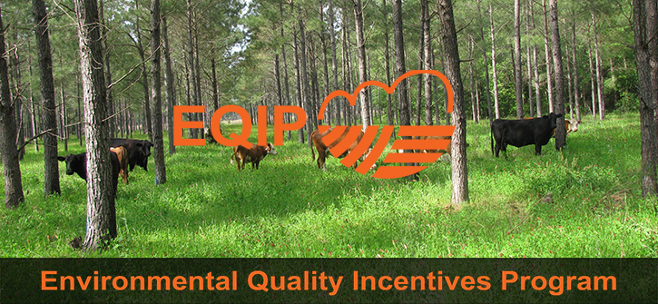 Environmental Quality Incentives Program banner