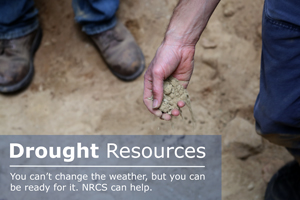 Drought Resources. You can't change the weather, but you can be ready for it. NRCS can help.