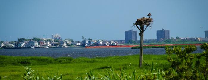 Jamaica Bay Wildlife Refuge is one of Documerica.