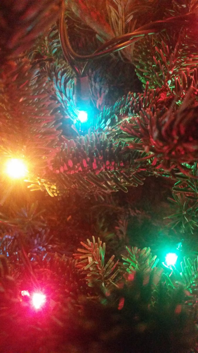 Close up photo of Christmas tree branches with lights.