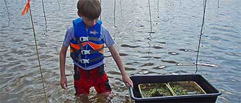 A child prepares to plant his grasses. Photo by CBF Staff