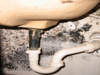 Mold spreads in the damp area behind a sink