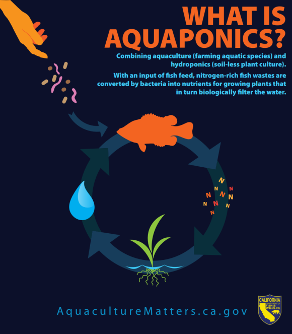 Aquaponics