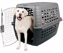 Save 20% off Entire Stock of Petmate Compass Plastic Carriers